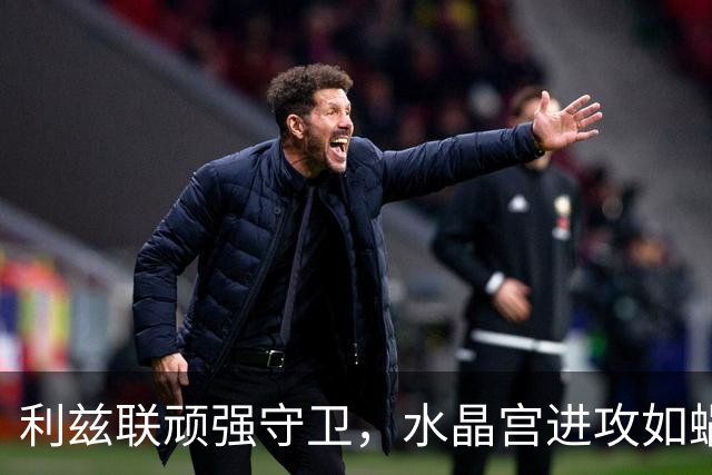 利兹联顽强守卫，水晶宫进攻如蜗牛般缓慢