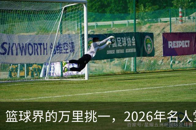 篮球界的万里挑一，2026年名人堂提名大揭秘
